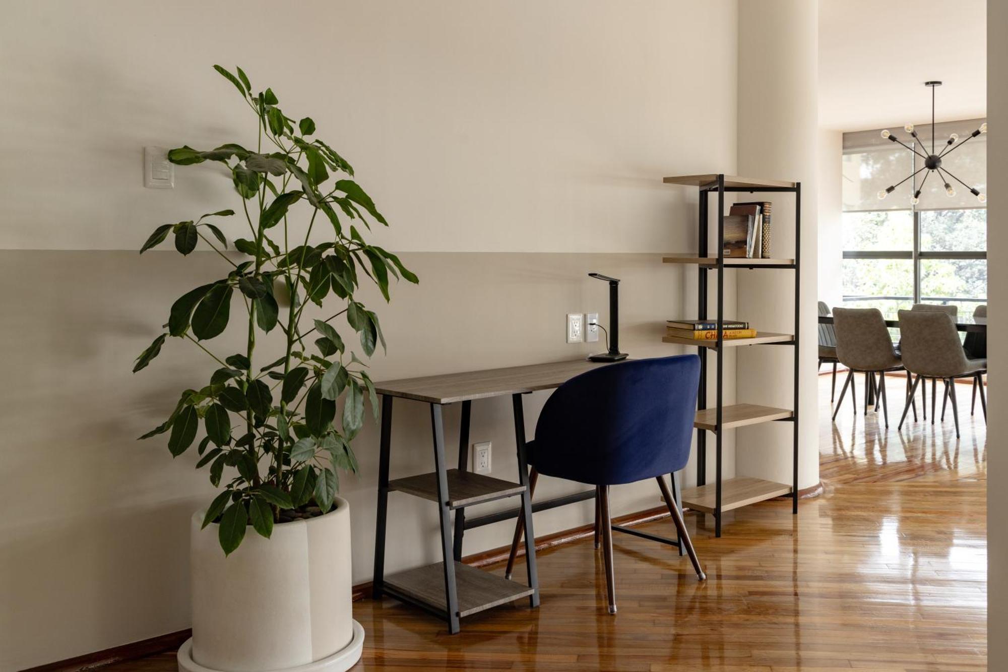 Apartament Lope 226, Polanco Meksyk Zewnętrze zdjęcie